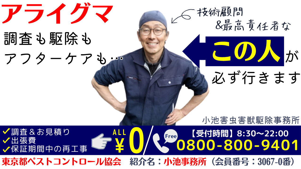 アライグマ駆除